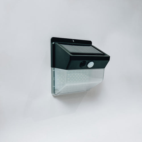 Motion Sensor Solar Light - Carry Light
