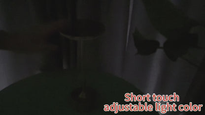 LED Stylish Metal Table Lamp