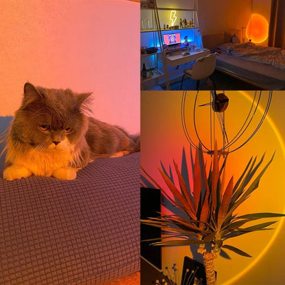 USB Sunset Lamp – LED Rainbow Neon Night Light, Sunset Projector for Home & Photography - Carry Light