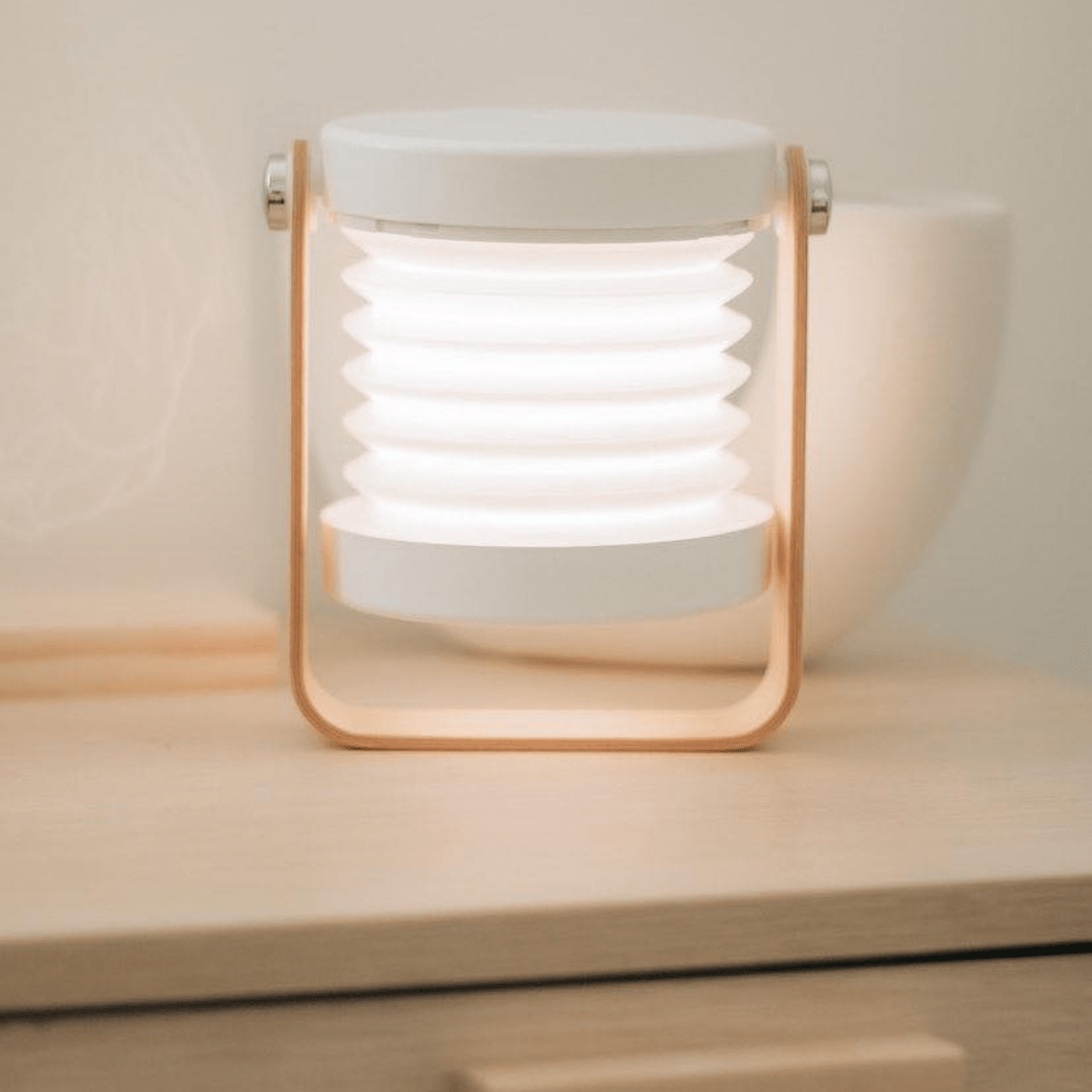 Free Gift - Modern Multi - Purpose Lamp - Carry Light