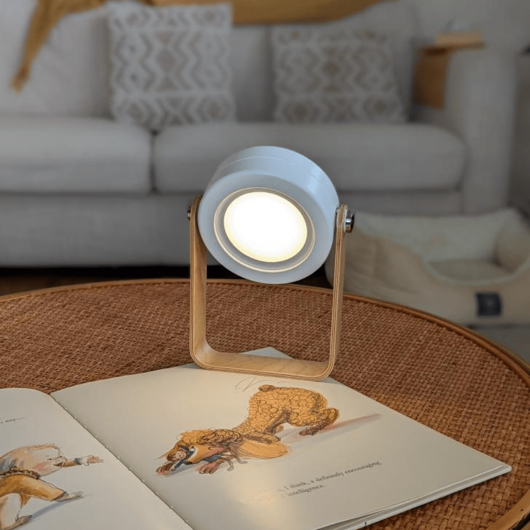 Free Gift - Modern Multi - Purpose Lamp - Carry Light