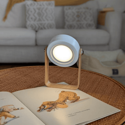Free Gift - Modern Multi - Purpose Lamp - Carry Light