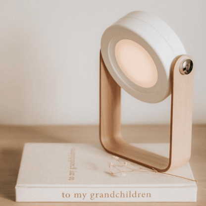 Free Gift - Modern Multi - Purpose Lamp - Carry Light