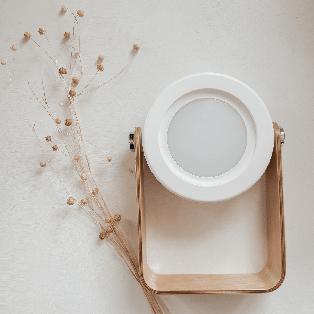 Free Gift - Modern Multi - Purpose Lamp - Carry Light