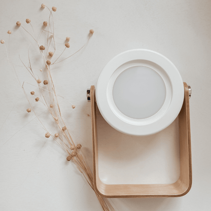 Free Gift - Modern Multi - Purpose Lamp - Carry Light